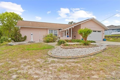 Discover your slice of Florida living at 13378 Drayton Dr - photo 3