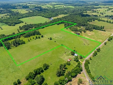 (private lake, pond, creek) Acreage For Sale in Big Sandy Texas