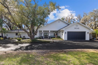 Lake Home For Sale in Lutz, Florida