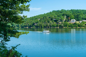 PRIME WATERFRONT PROPERTY ON THE BIGGEST LAKE IN TENNESSEE - Lake Acreage For Sale in Clifton, Tennessee