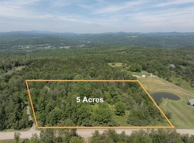 (private lake, pond, creek) Acreage For Sale in Wolcott Vermont