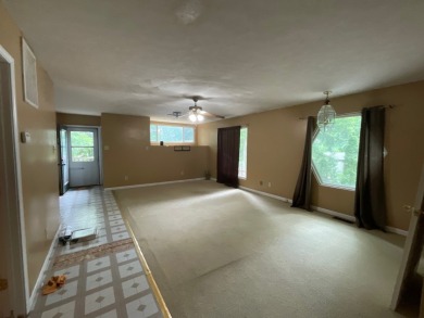 Raccoon Lake, Lake Access - photo 24