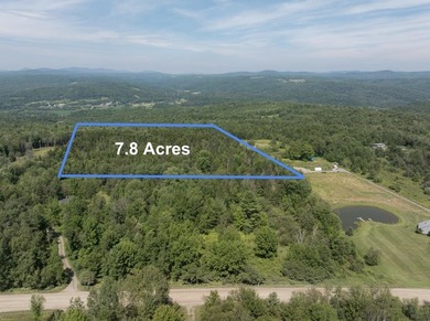 (private lake, pond, creek) Acreage For Sale in Wolcott Vermont