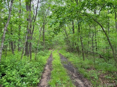 Lake Acreage For Sale in Santa Fe, Missouri