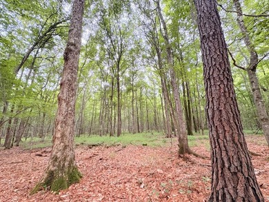 Lake Acreage For Sale in Jasper, Texas