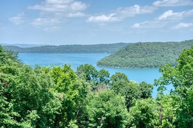 Cute Home with a Great Beaver Lake View! - photo 2
