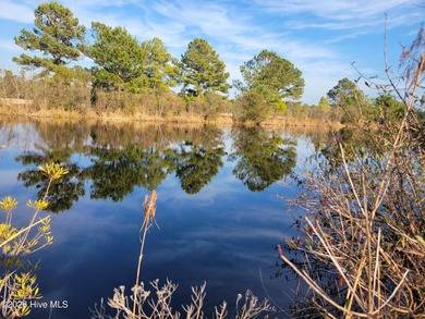Bay Tree Lake Lot For Sale in Harrells North Carolina