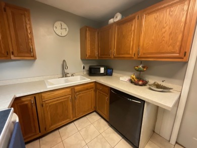 Raccoon Lake, Lake Access - photo 14