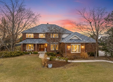 (private lake, pond, creek) Home For Sale in Homer Glen Illinois