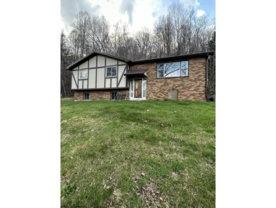 Lake Home For Sale in Buckhannon, West Virginia