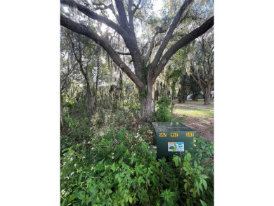 Lake Indigo Lot For Sale in Groveland Florida