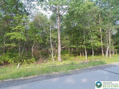 Indian Mountain Lakes Lot For Sale in Tunkhannock Twp Pennsylvania