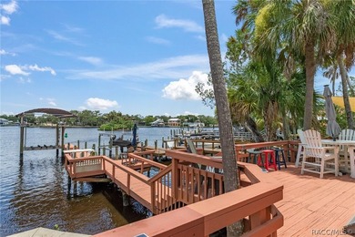 Waterfront Living at Its Finest on the Homosassa River!Welcome - photo 38