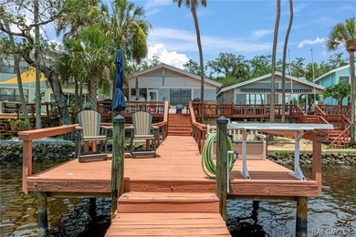Waterfront Living at Its Finest on the Homosassa River!Welcome - photo 42