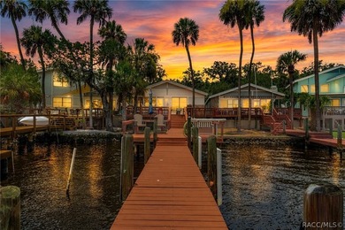 Waterfront Living at Its Finest on the Homosassa River!Welcome - photo 44