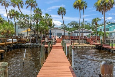 Waterfront Living at Its Finest on the Homosassa River!Welcome - photo 45