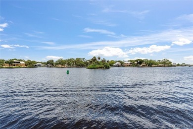 Waterfront Living at Its Finest on the Homosassa River!Welcome - photo 46