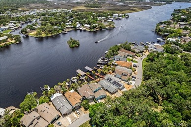 Waterfront Living at Its Finest on the Homosassa River!Welcome - photo 47
