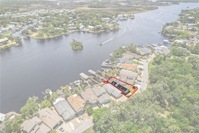 Waterfront Living at Its Finest on the Homosassa River!Welcome - photo 48