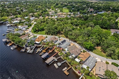 Waterfront Living at Its Finest on the Homosassa River!Welcome - photo 49