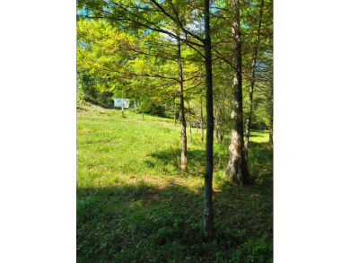 (private lake, pond, creek) Lot For Sale in Madisonville Tennessee