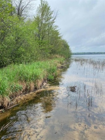 Sand Lake - Sawyer County Acreage For Sale in Stone Lake Wisconsin