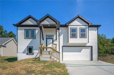 Smithville Lake Home For Sale in Smithville Missouri