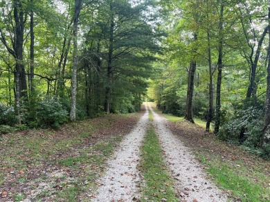 Lake Acreage For Sale in Nantahala, North Carolina
