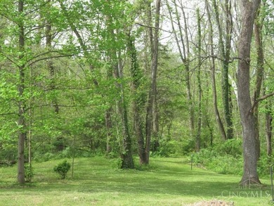 Rocky Fork Lake! Cozy lakefront 3BR, 2BA lake cottage on full - photo 39