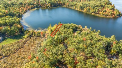 Lake Lot For Sale in Bitely, Michigan