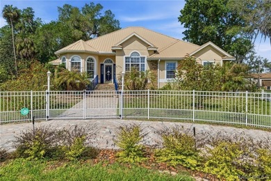 One or more photo(s) has been virtually staged. This home has - photo 1