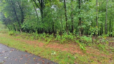 Smith Mountain Lake Lot For Sale in Moneta Virginia