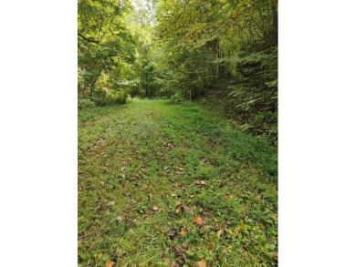 Lake Lot For Sale in Robbinsville, North Carolina