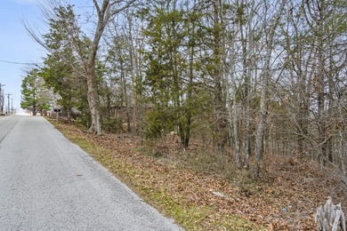 It's a new year, lake close @ Hillcrest Dr! Ready for a new year - photo 12