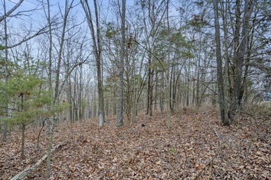 It's a new year, lake close @ Hillcrest Dr! Ready for a new year - photo 15