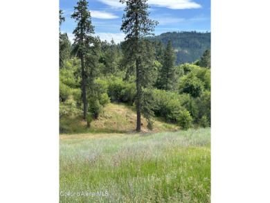 (private lake, pond, creek) Acreage For Sale in Lenore Idaho