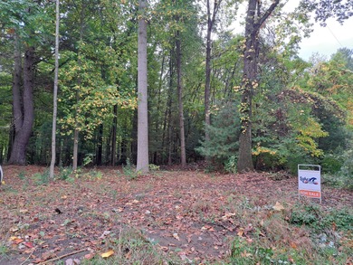 Lake Lot For Sale in Grand Junction, Michigan