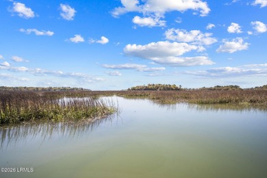Set on a .66-acre waterfront lot along tidal Battery Creek, this - photo 47