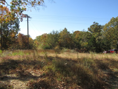 22.56 AC WITHIN 1 MILE OF LAKE, JOINS THE CORP OF USA - Lake Lot For Sale in Celina, Tennessee