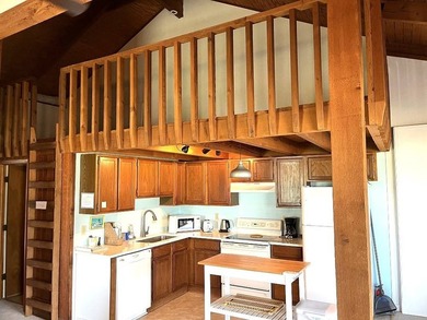 Rental potential. This is a stilt duplex with 2 bedrooms / one - photo 20
