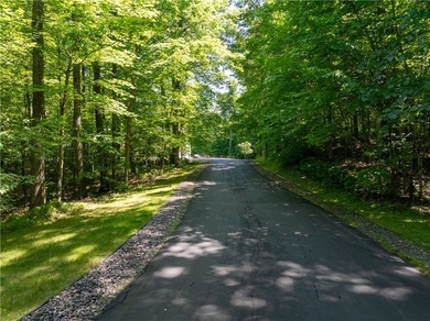Northwoods Estate-Lake Namakagon. This 5BD, 8,500+ sqft - photo 58