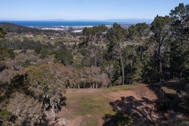One of the LAST ocean view lots available in Monterra! Located - photo 4