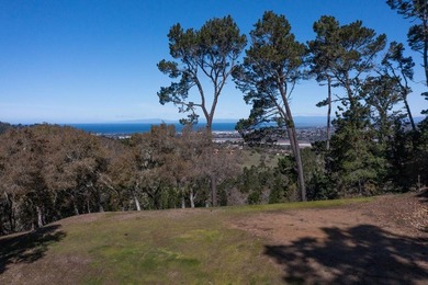 One of the LAST ocean view lots available in Monterra! Located - photo 6