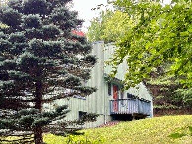 Lake Home For Sale in Jewett, New York