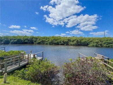 Walk to Publix, bike to downtown Stuart, or launch your boat-all - photo 22