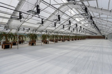 This is an incredible state of the art greenhouse and farm, with