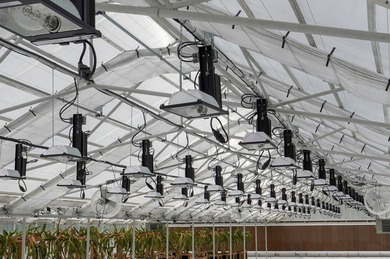 This is an incredible state of the art greenhouse and farm, with