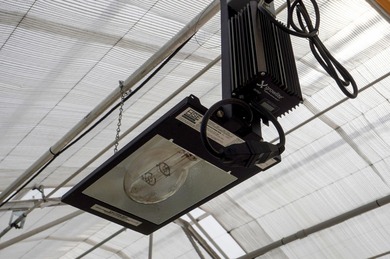 This is an incredible state of the art greenhouse and farm, with