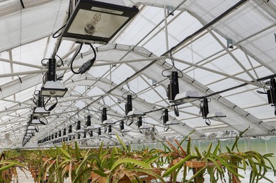 This is an incredible state of the art greenhouse and farm, with