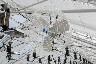 This is an incredible state of the art greenhouse and farm, with